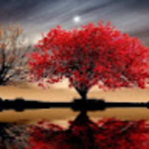 Meet your Posher, Anitra